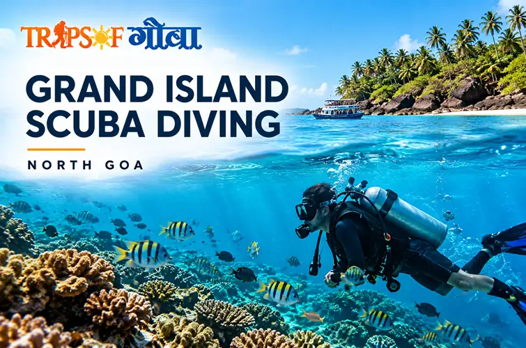 Grand Island Scuba Diving North Goa