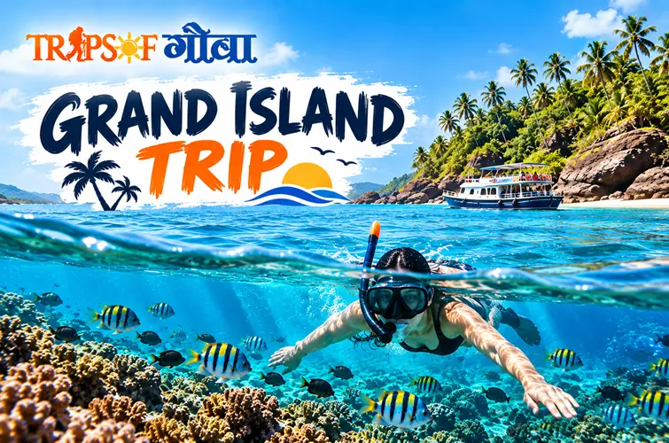 Grand Island Trip with Snorkeling & Buffet Lunch